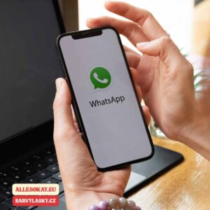 Měsíční podpora na WhatsApp | Extra servis pro naše klienty