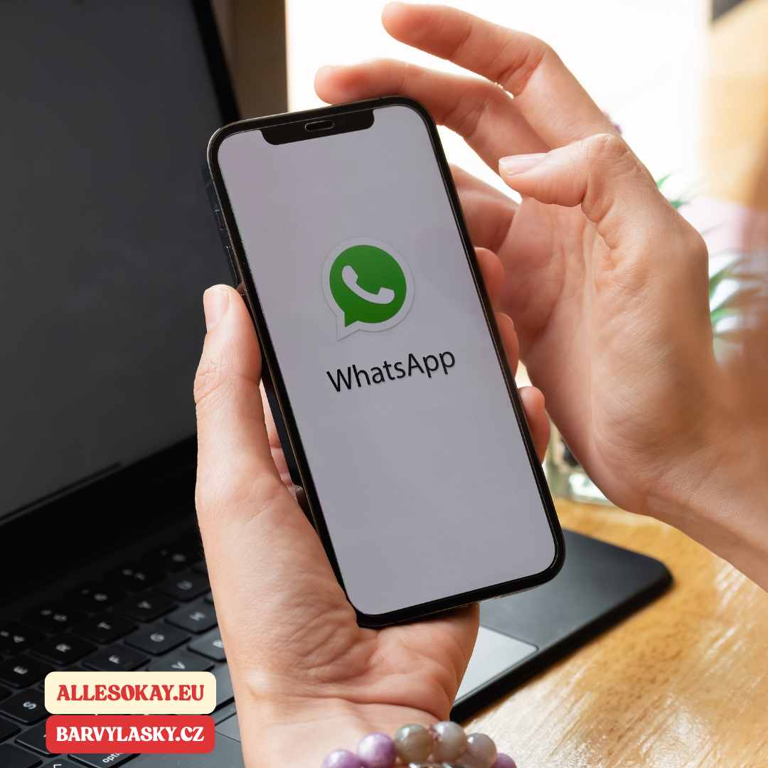 Měsíční podpora na WhatsApp | Extra servis pro naše klienty